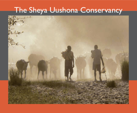 Sheya Shuushona Conservancy Profile Brochure 2010